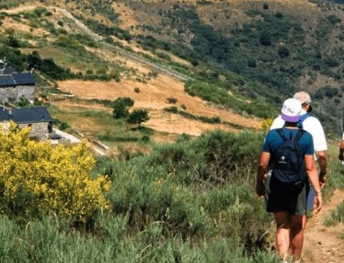 What is the most beautiful and easiest Camino de Santiago?