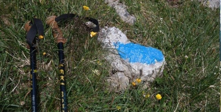 Due bastoni da passeggio e una pietra dipinta di blu