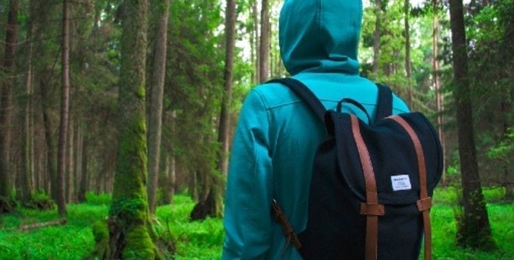 Person with a backpack on a forest