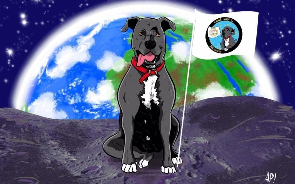 Ilustración de Apaca, un perro en la luna