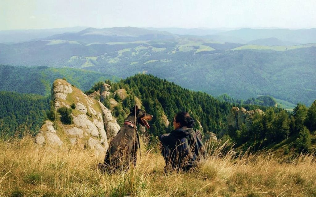 Pilger und Hund auf dem Camino