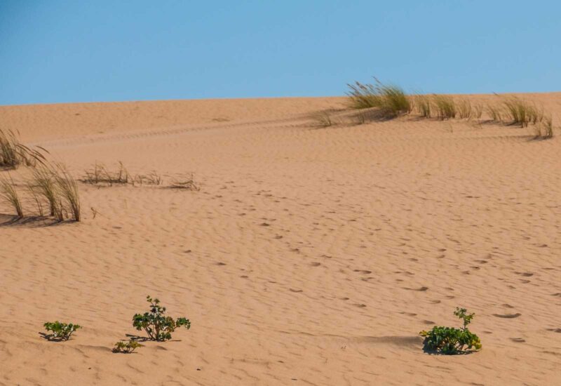 Il dune Carregal