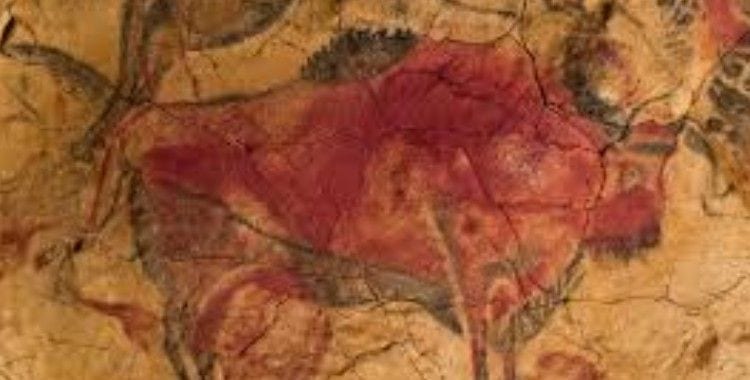 Cave painting of a buffalo