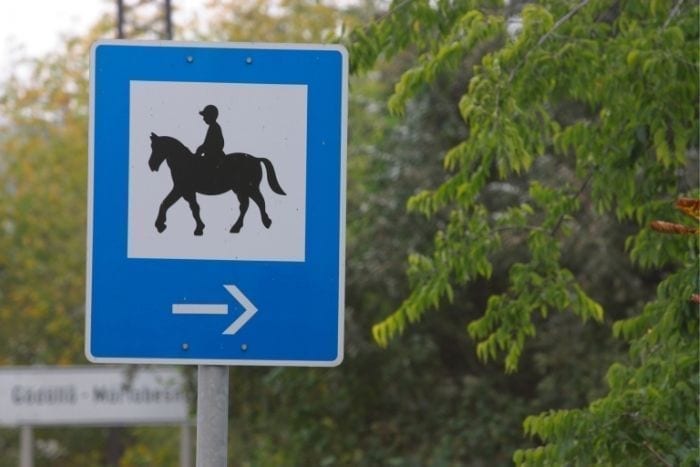 Signs of the Camino de Santiago on horseback