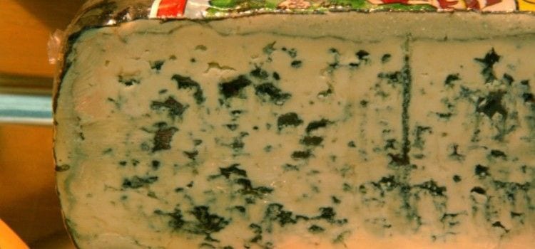 Blue Cheese from Asturias