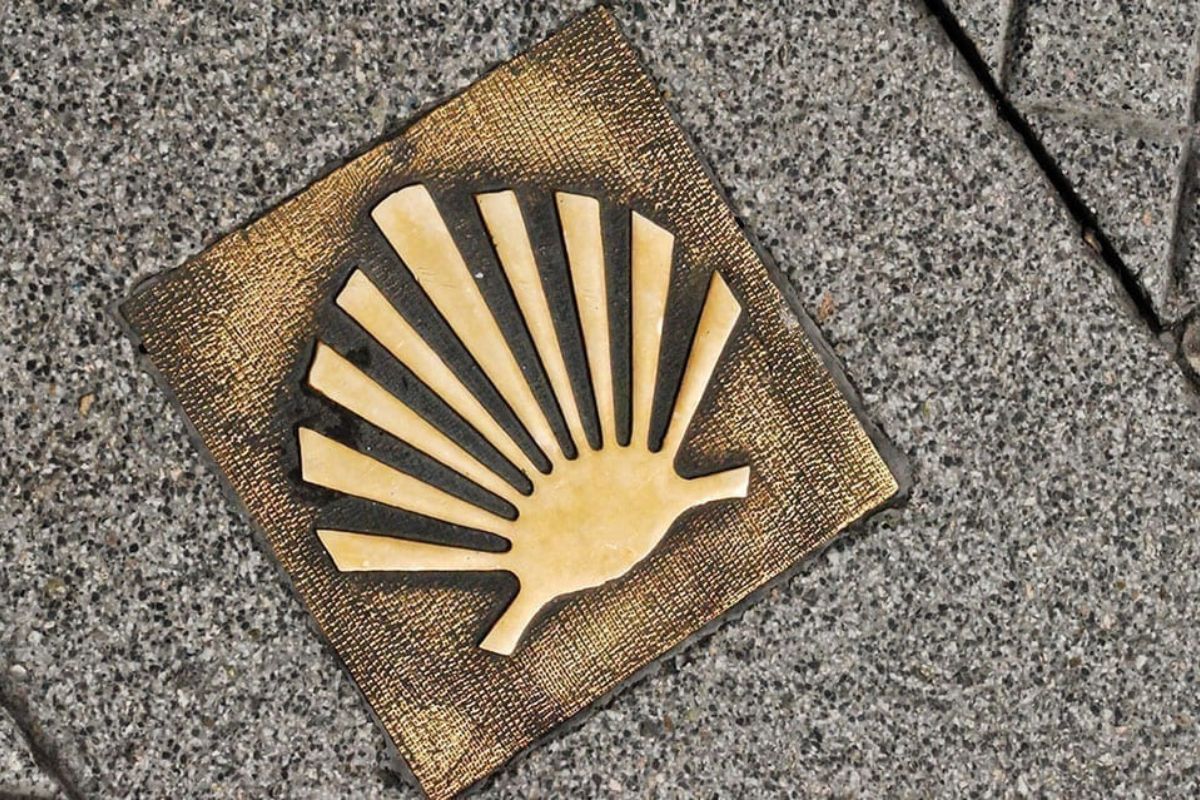The scallop shell, a classic symbol of the Camino de Santiago