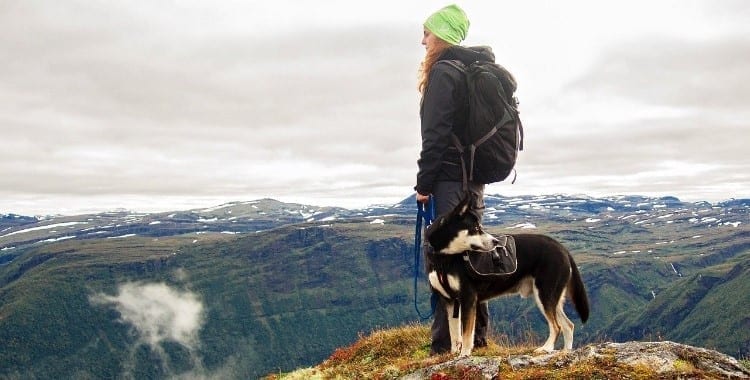 Woman with her dog on the top of a mountain