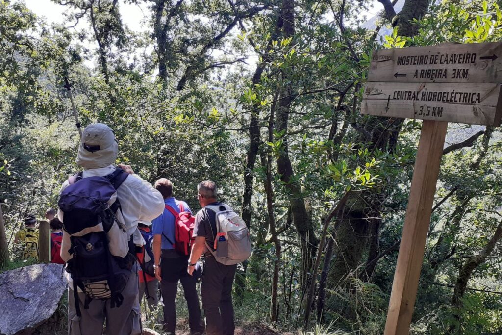 Futuros peregrinos realizando una ruta de senderismo en su preparación física para el Camino de Santiago.