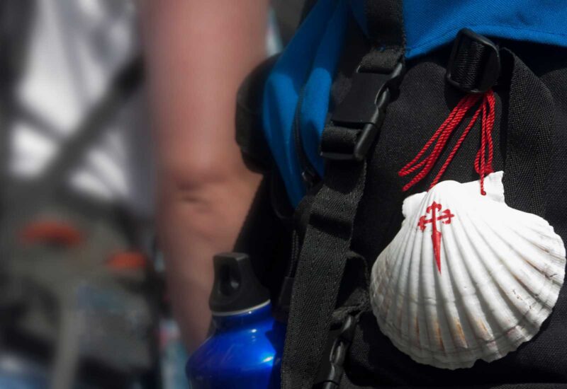 A scallop from the Camino