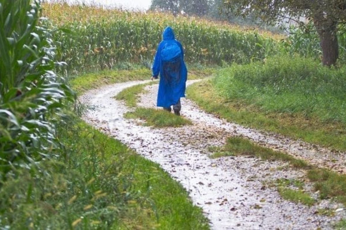 Pilgrim in a rainy day