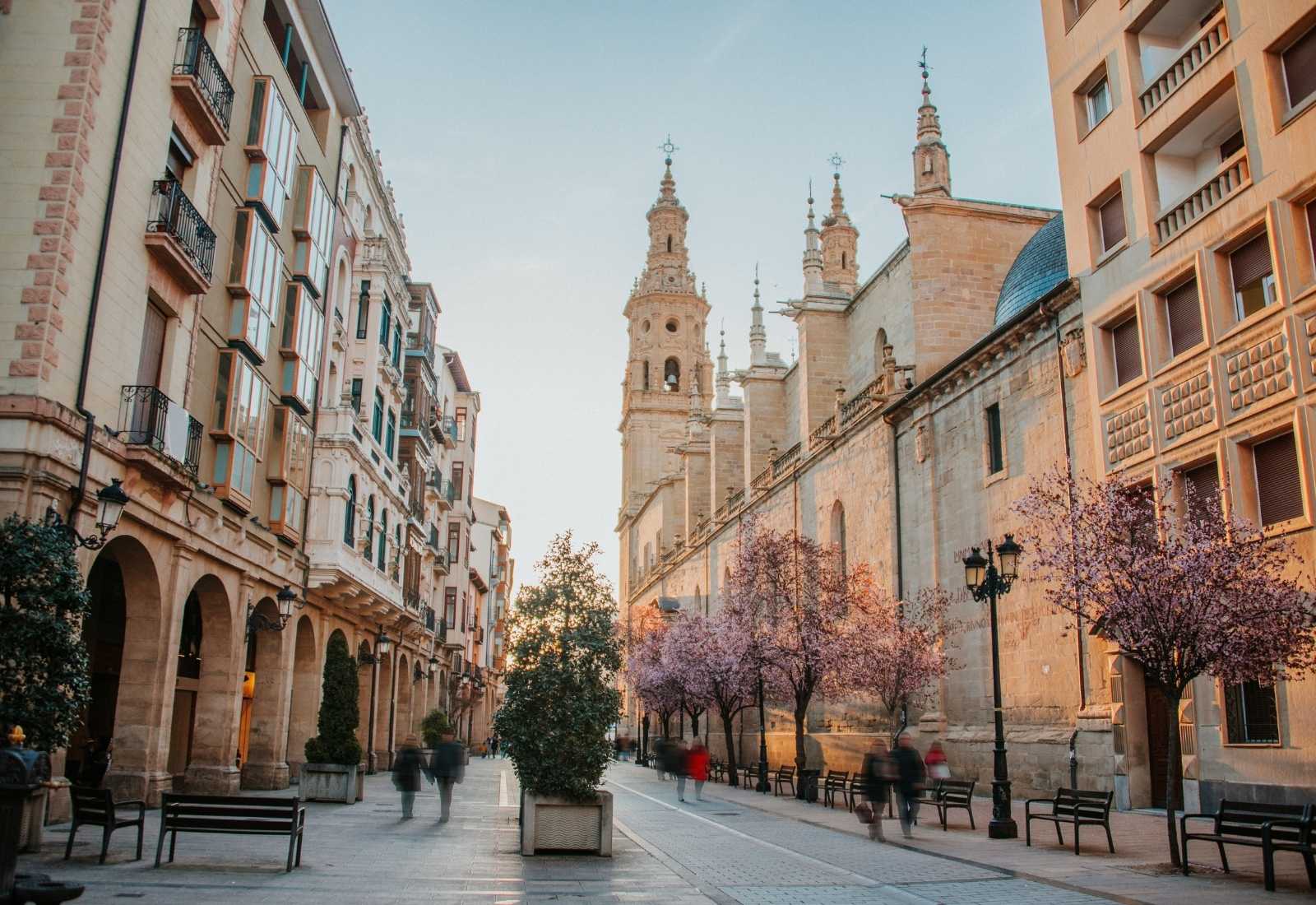 Calle y Concatedral de Santa María de la Redonda de Logroño
