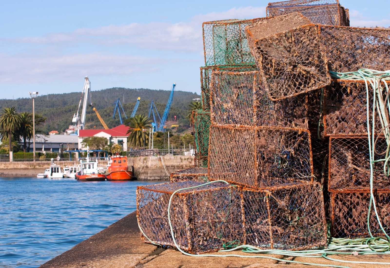 Cestas de cangrejos en el puerto de Ferrol