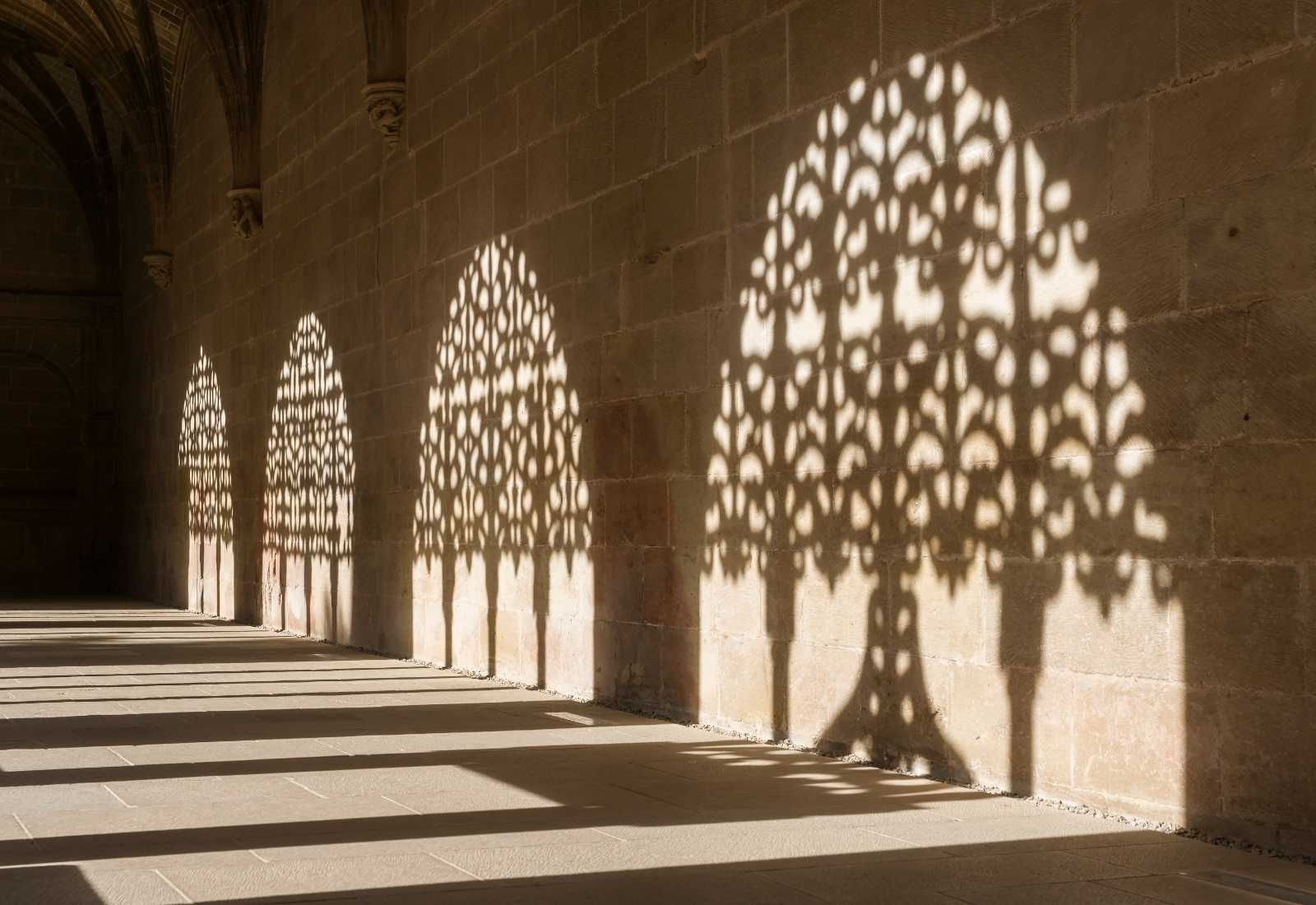 Sombras en Monasterio de Santa María la Real