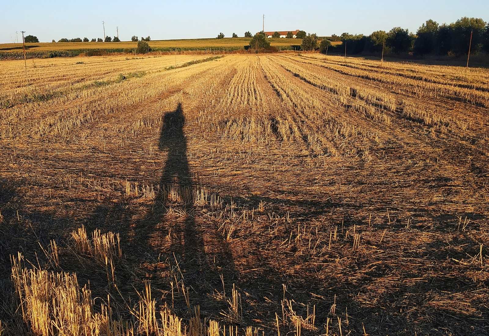 Sombra de un peregrino en el campo
