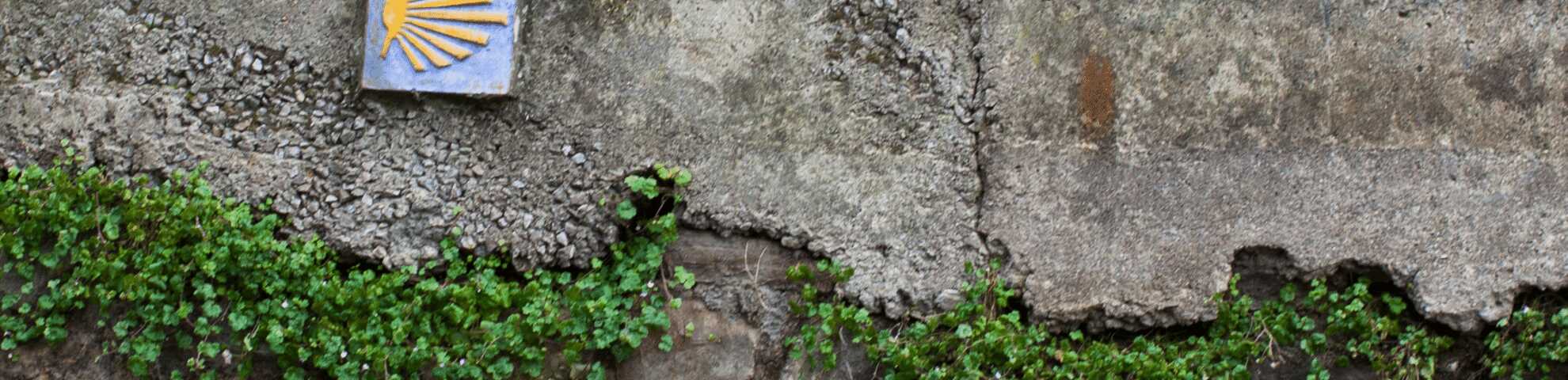 Una baldosa del Camino de Santiago en un muro de cemento