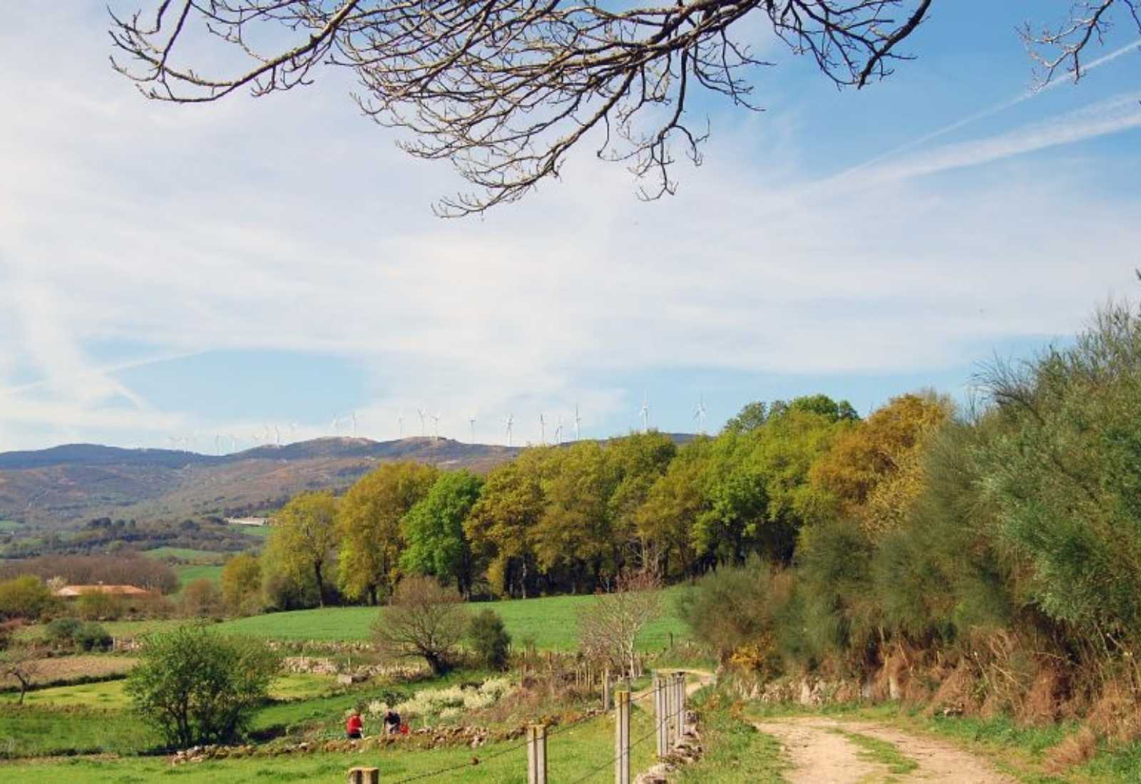 Sendero por los campos de Galicia