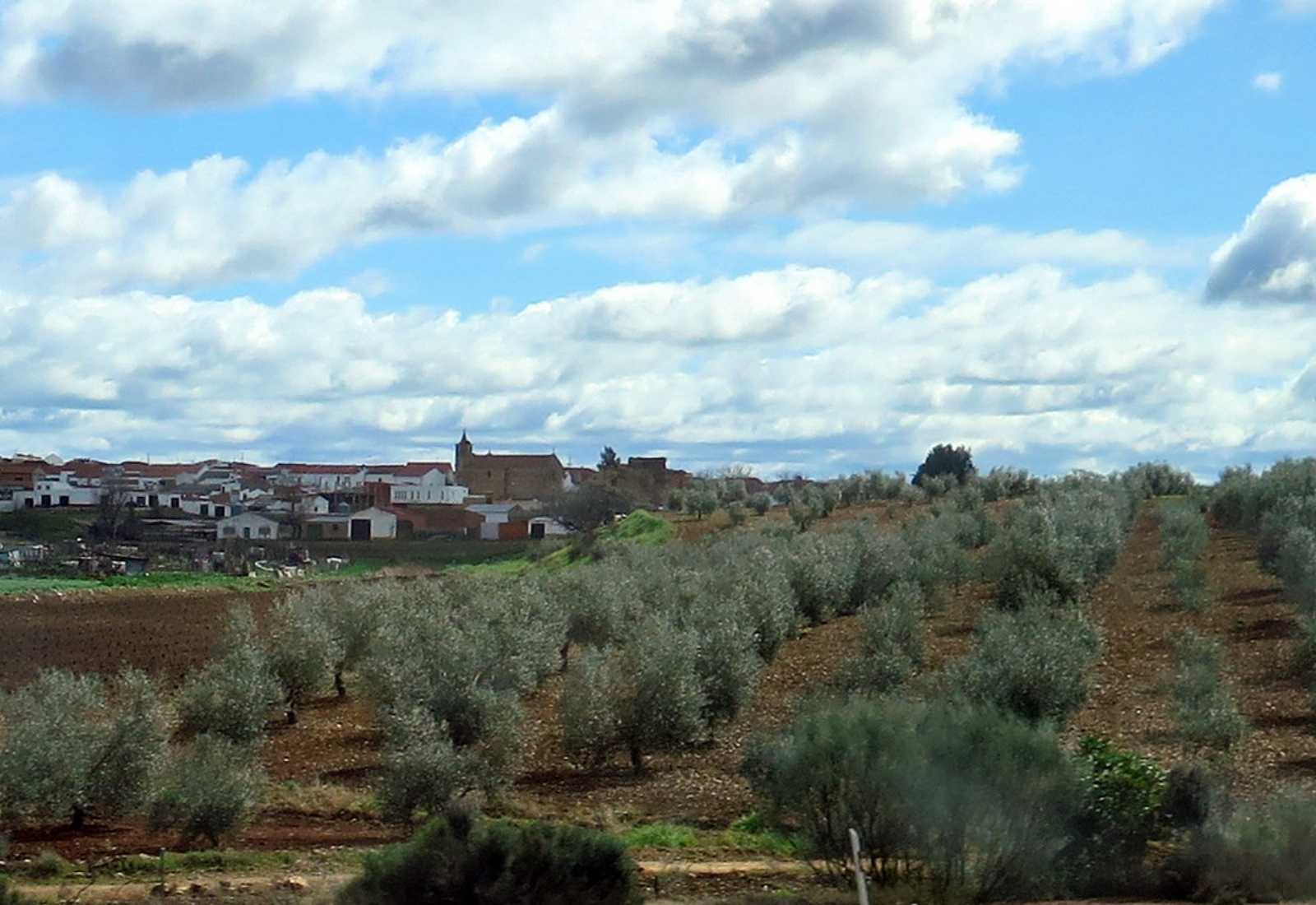 Villafranca de Barros junto a los olivares