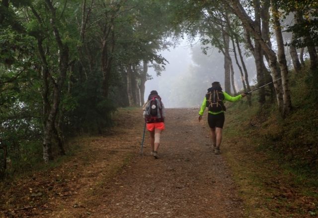 Dos peregrinos en una ruta con niebla