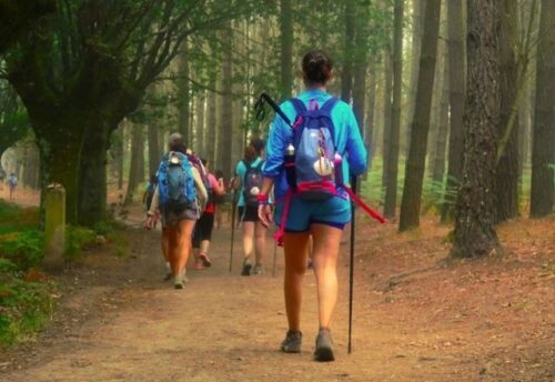 Peregrinos en un sendero