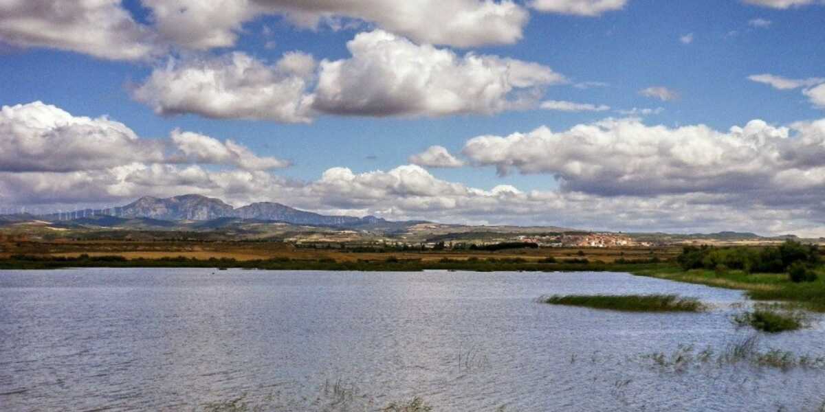 Reserva natural de embalse las Cañas - Viana
