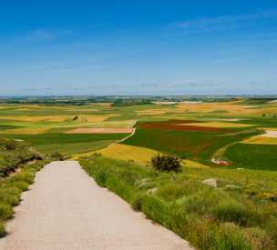 Camino sobre los campos de Castilla