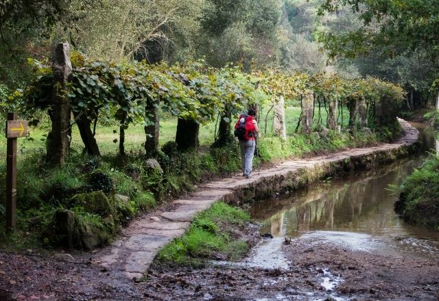 Chemin le long d'un ruisseau sur le Chemin Portugais
