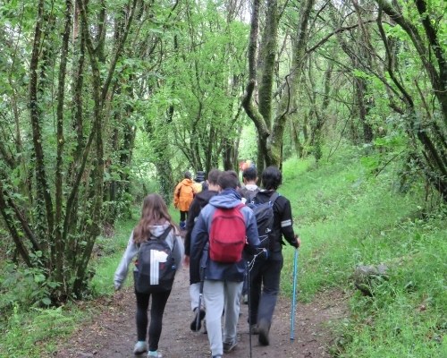 Estudiantes caminando por un sendero boscoso
