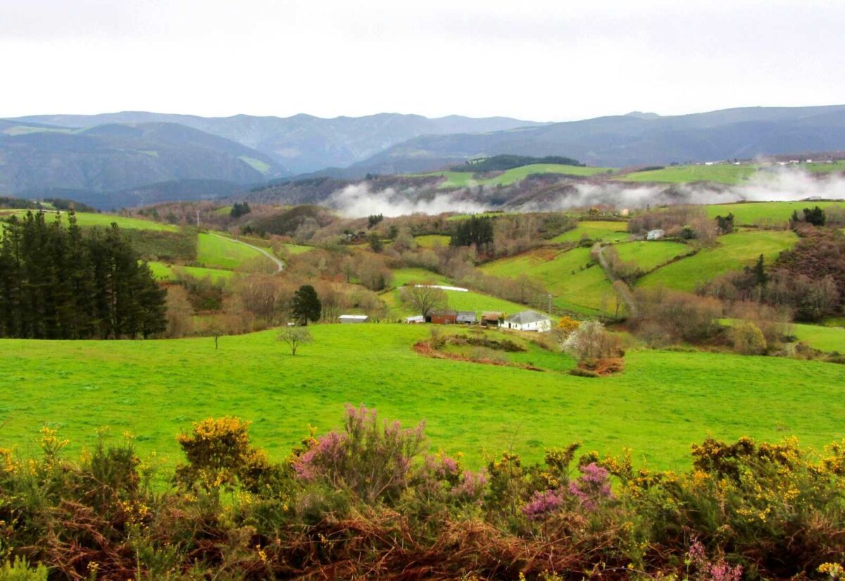 Asturian meadows on the Primitive Way