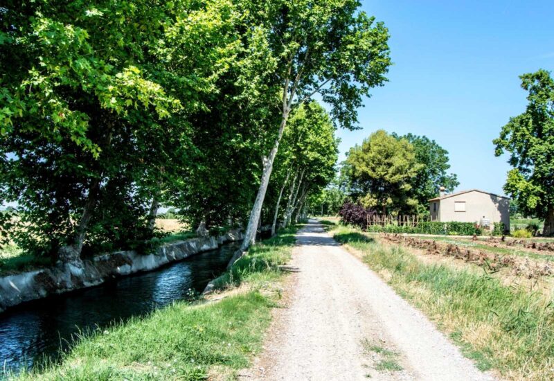 the Canal d'urgell