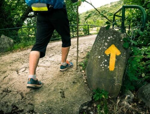 Doing the Camino de Santiago in deferred? It is possible, by doing the following Paths by Sections