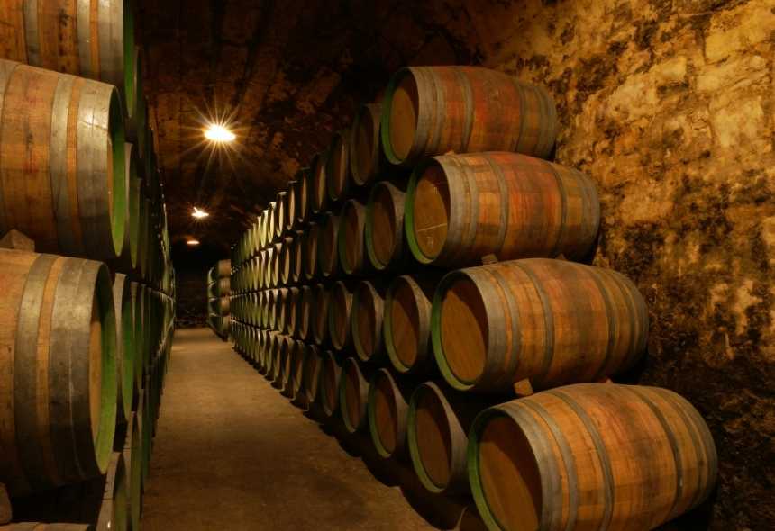 Los vinos del Camino de Santiago