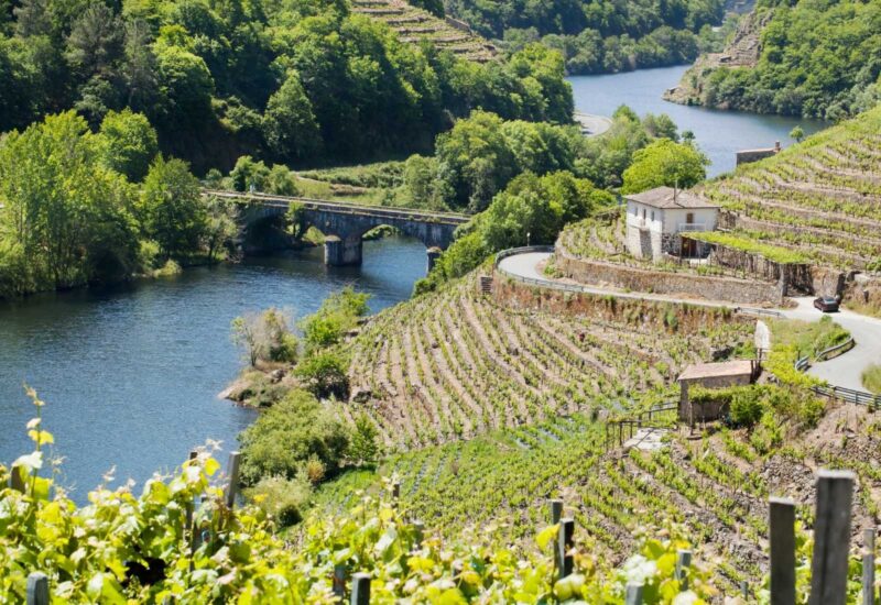 The vineyards of Ribeira Sacra
