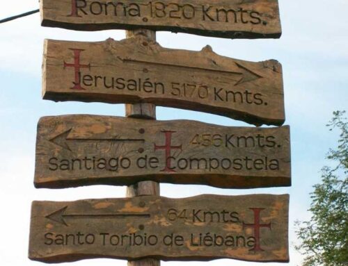 The end of each Camino; all the pilgrim’s certificates.