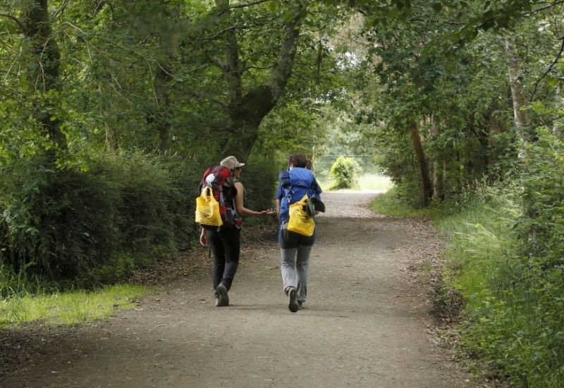 Dos peregrinos cruzando un sendero boscoso