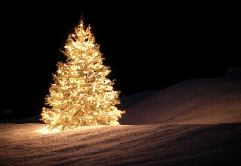 Un albero di Natale nel buio