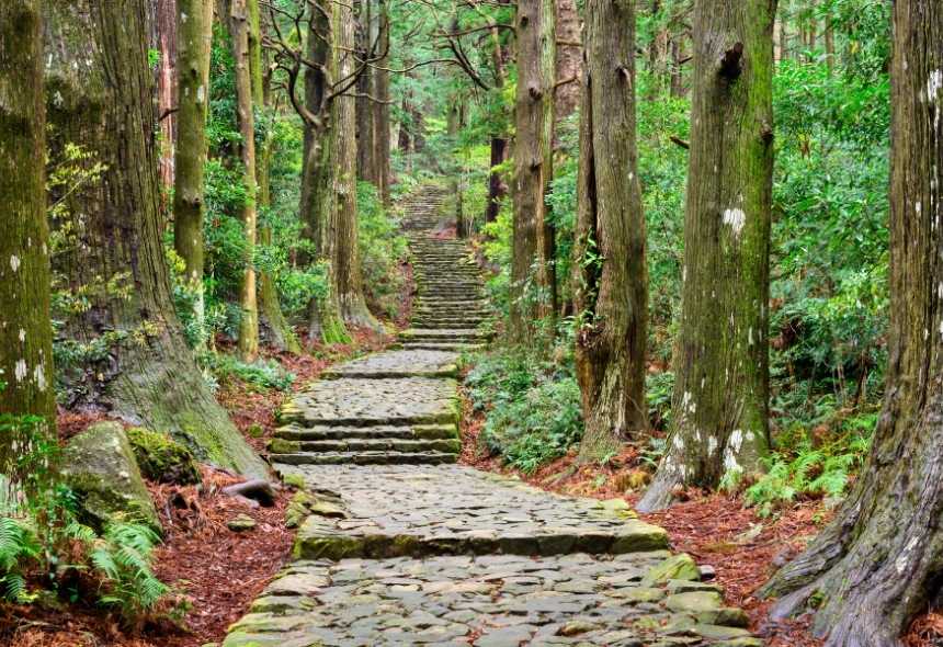 El Camino Kumano Kodo