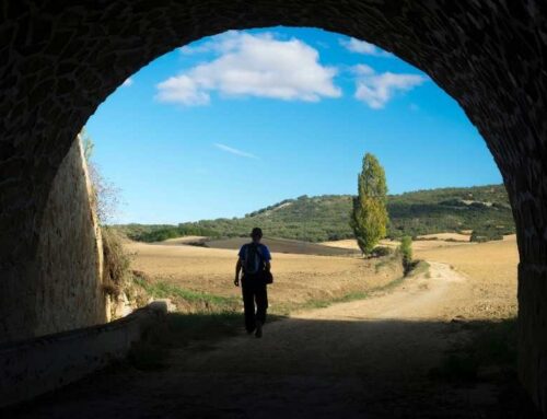 The Way of Saint James in single stages. A way to do the Camino every Weekend