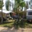 Caravanas y tiendas de campaña en el bosque