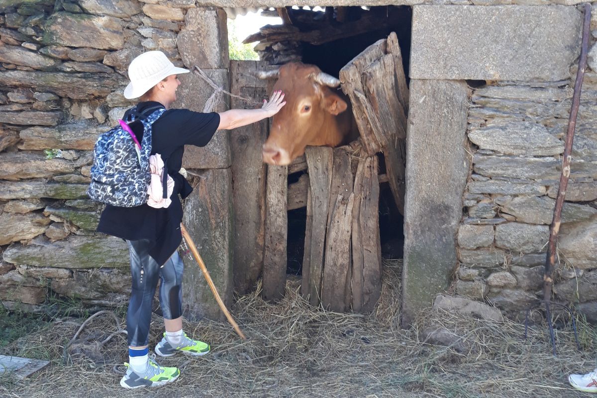 The best advice for Camino beginners is to enjoy the little things.