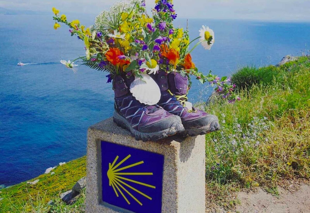 A boot with flowers on the Camino