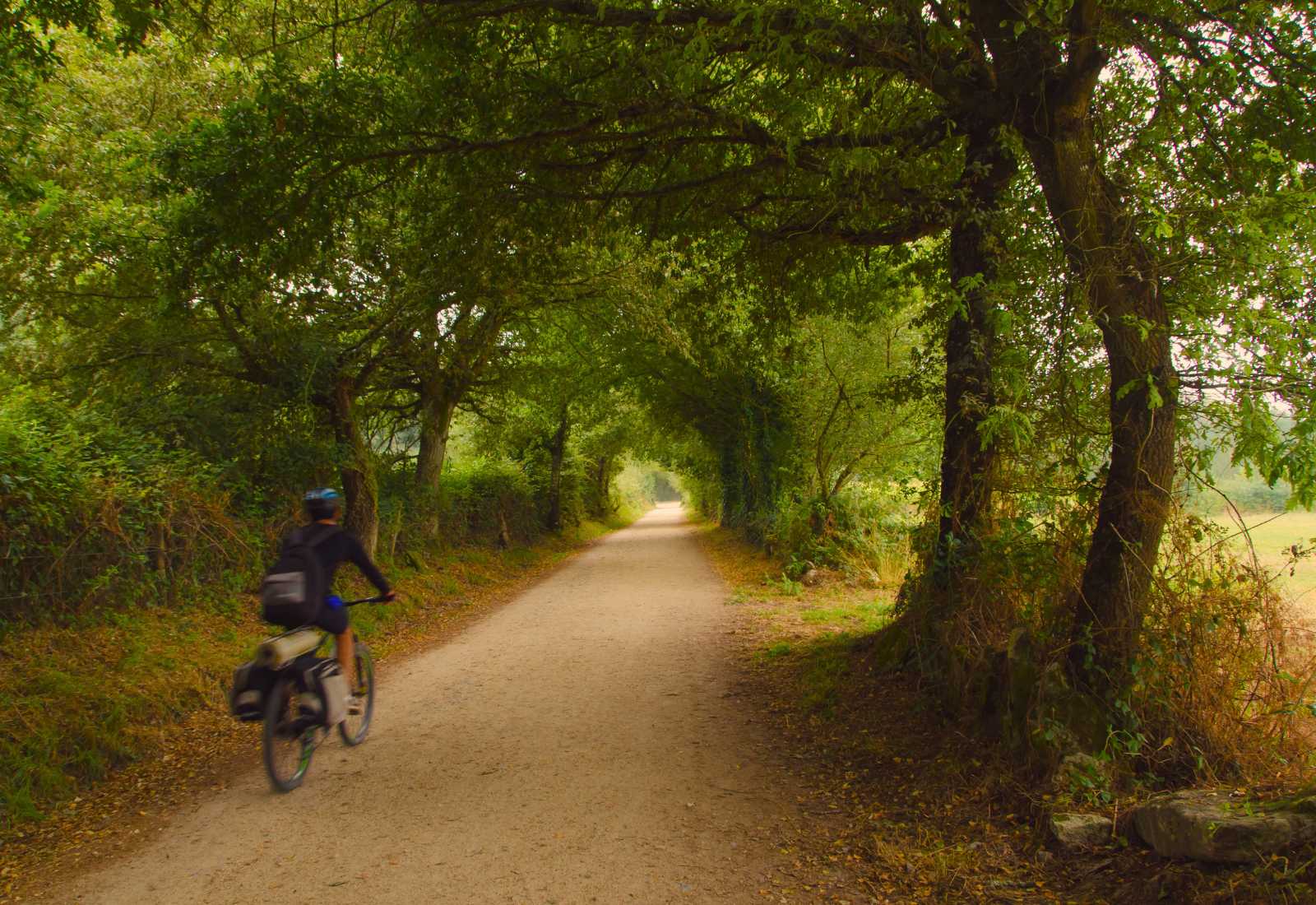 Eine Person radelt auf dem Französischen Weg