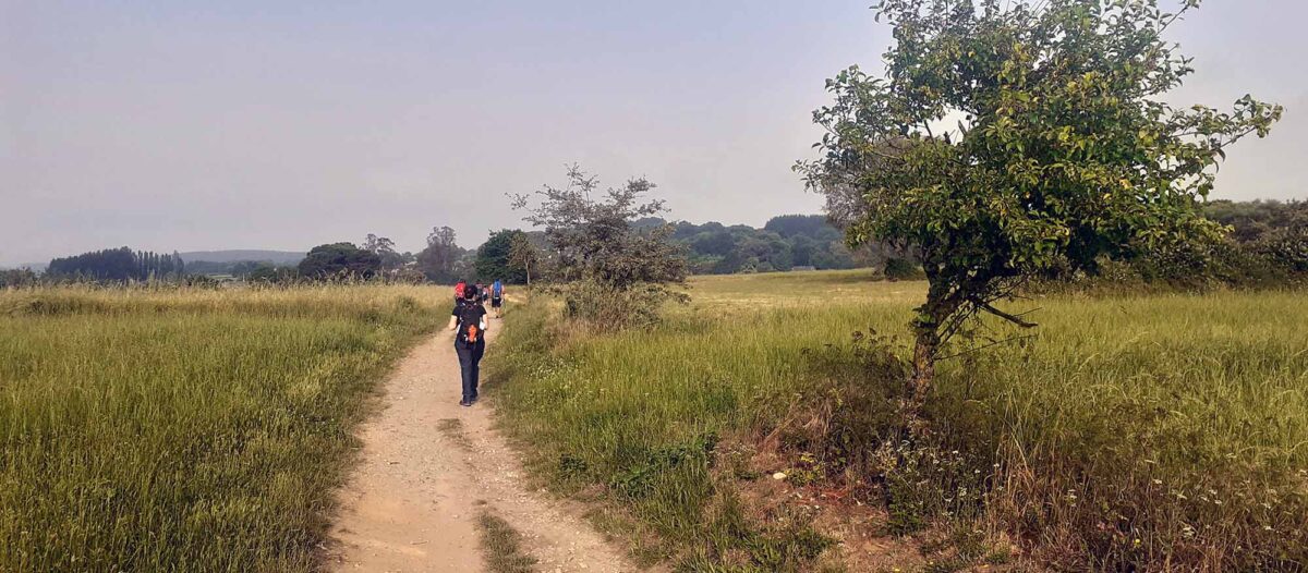 el Camino de Santiago