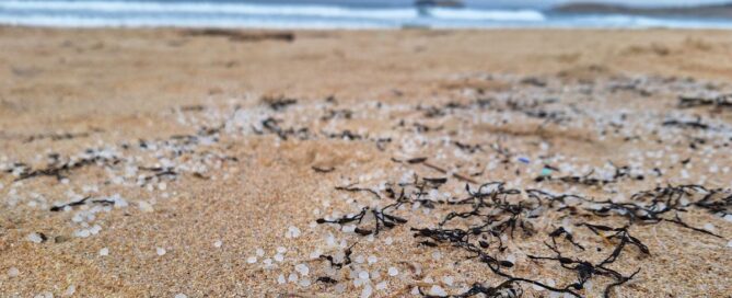 Granuli sulla spiaggia di Penencia, a Ferrol.
