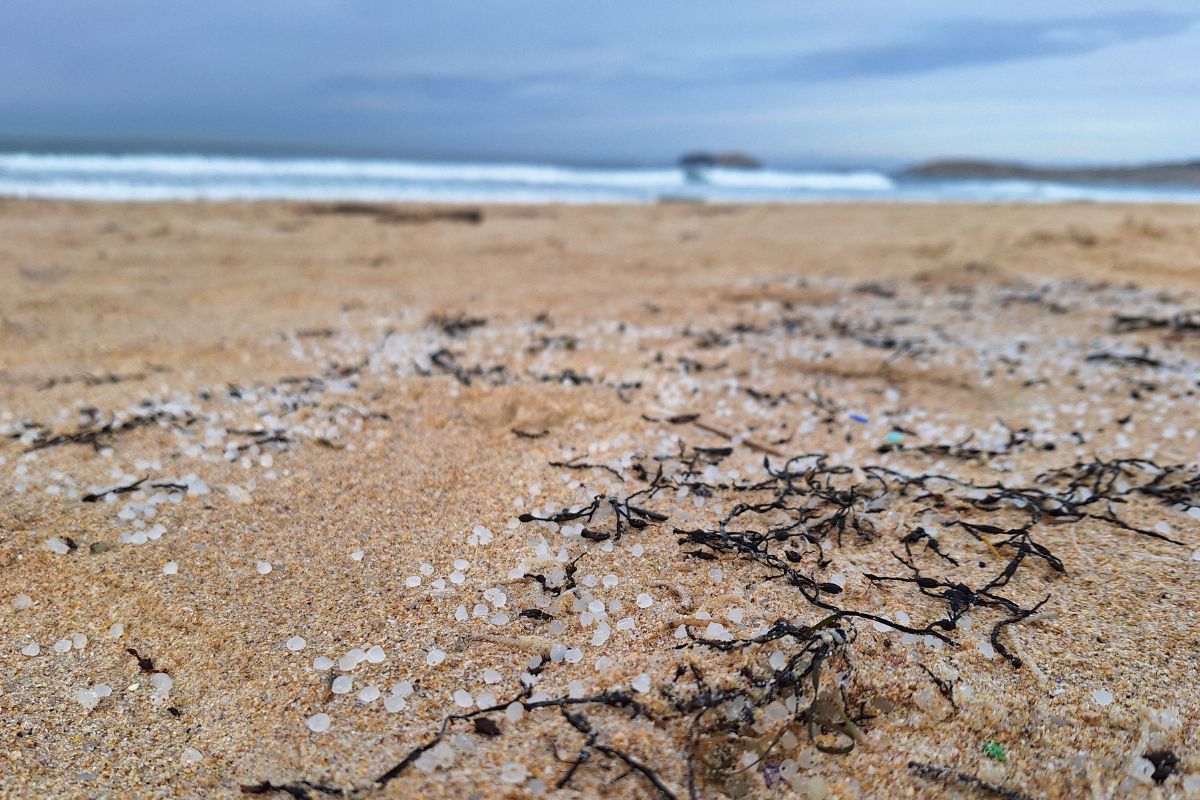 Granuli sulla spiaggia di Penencia, a Ferrol.