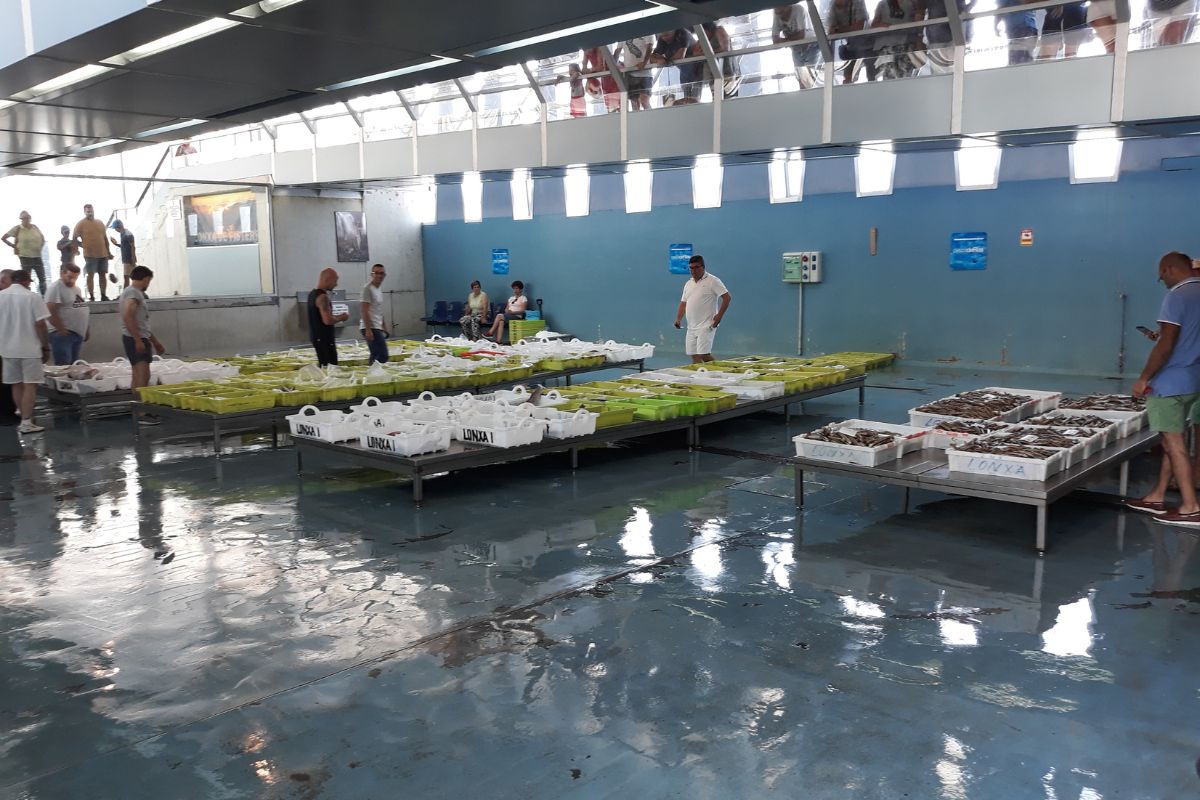 Finisterre fish market