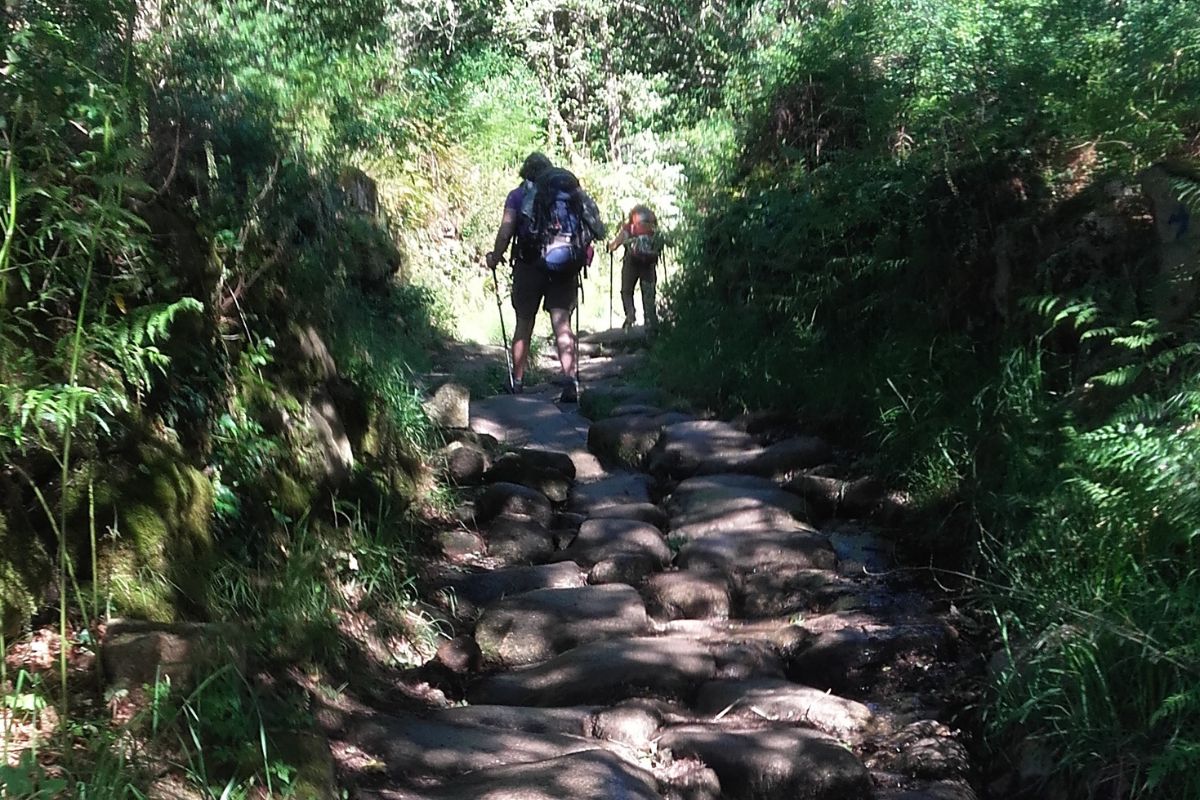 Peregrinos en el Camino Portugués desde Tui