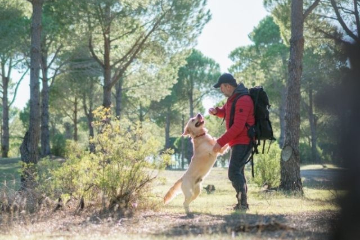 Un peregrino jugando con su perro