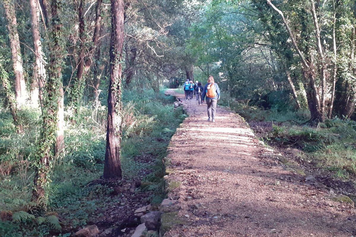 portugués-variante-espiritual-peregrinos
