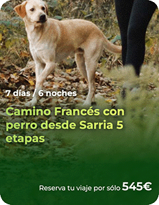 desde-sarria-5etapas-perrp