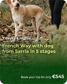 from-sarria-5stages-dog